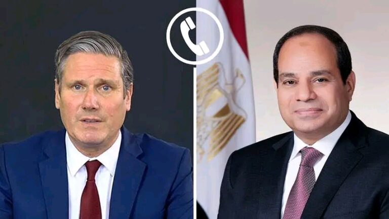 الرئيس السيسي ورئيس وزراء المملكة المتحدة