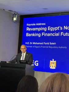 د. محمد فريد رئيس هيئة الرقابة المالية