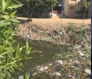 المصارف الزراعية