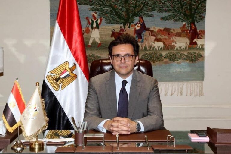 د. أحمد فؤاد وزير الثقافة
