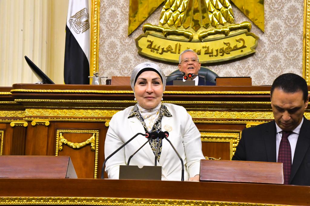 النائبة هالة أبو السعد