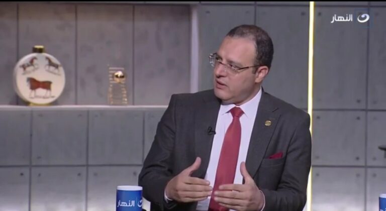 د..إبراهيم الشربيني رئيس جامعة زويل