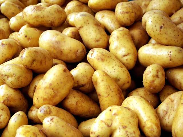 البطاطس
