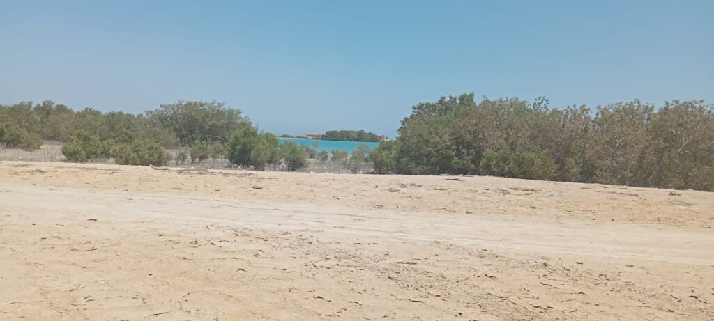 محمية نبق الطبيعية