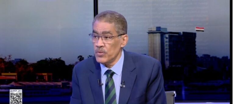 الكاتب الصحفي ضياء رشوان