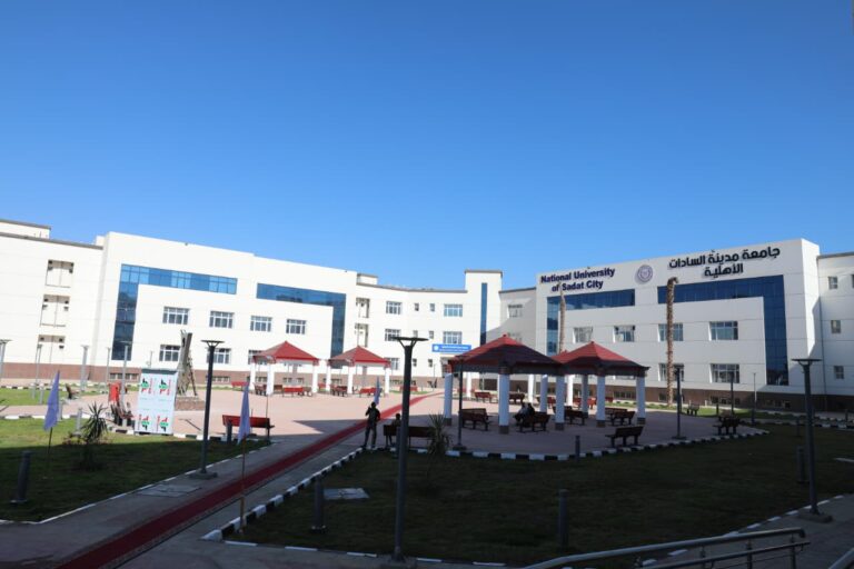 جامعة مدينة السادات الأهلية
