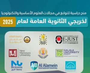 منح صندوق رعاية المبتكرين