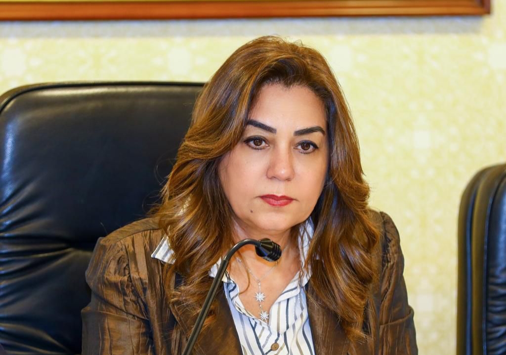 د. منال عوض وزيرة التنمية المحلية