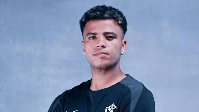 أحمد ربيع