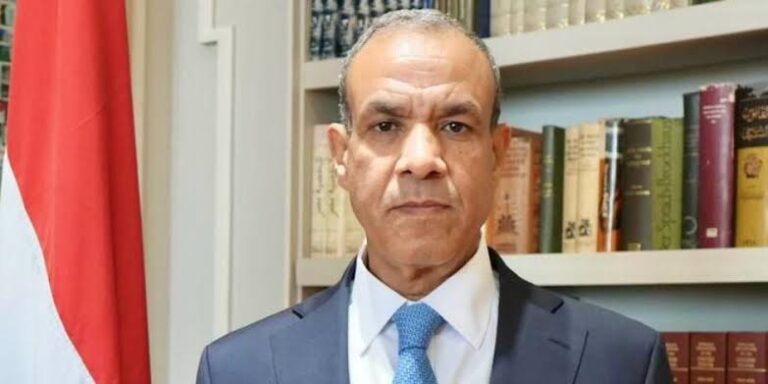 السفير بدر عبد العاطي وزير الخارجية