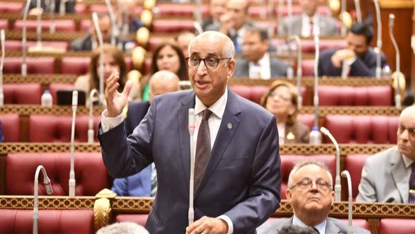 النائب حسانين توفيق