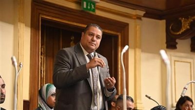 النائب محمد إسماعيل، عضو مجلس النواب
