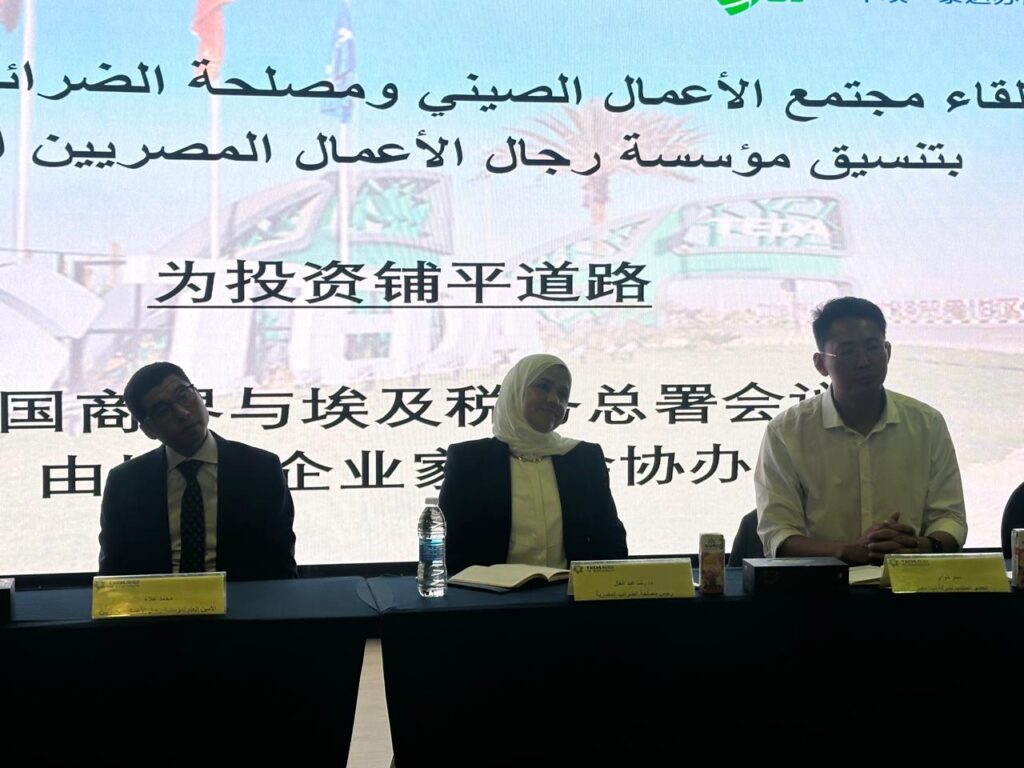 رشا عبدالعال رئيس مصلحة الضرائب