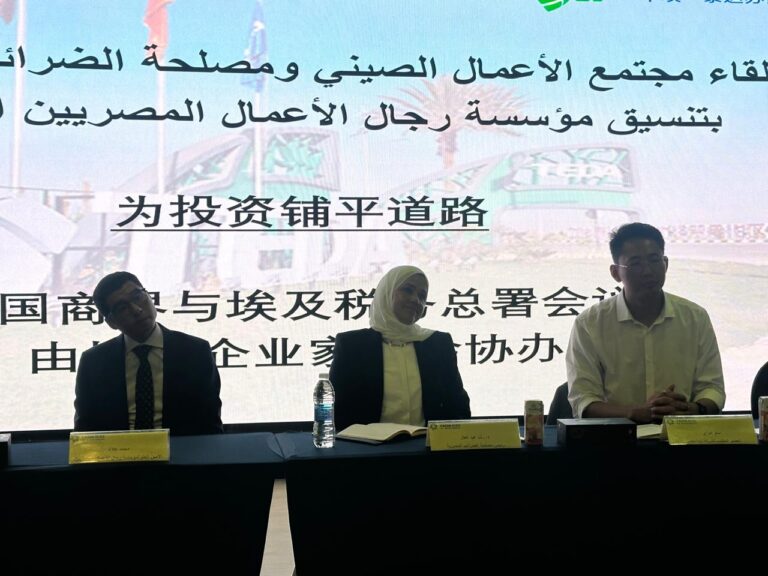 رشا عبدالعال رئيس مصلحة الضرائب