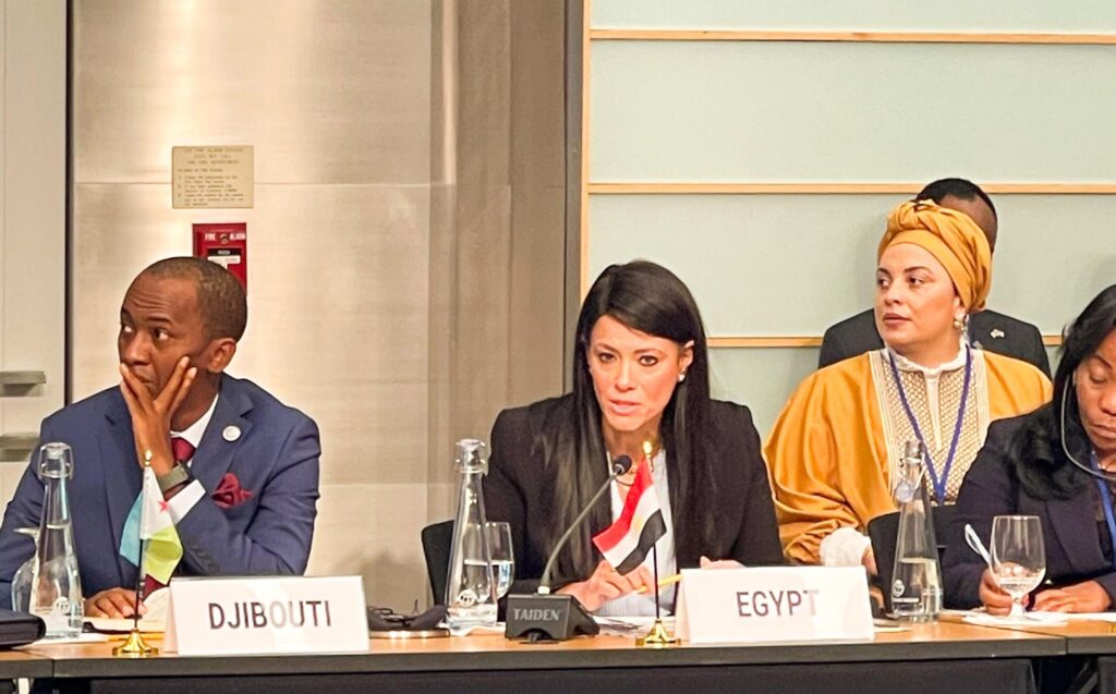 د. رانيا المشاط وزيرة التخطيط