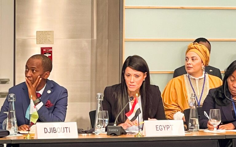 د. رانيا المشاط وزيرة التخطيط