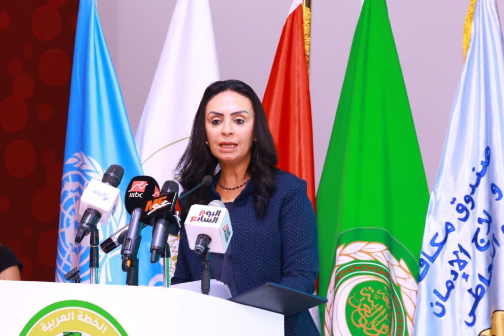 د. مايا مرسي وزيرة التضامن