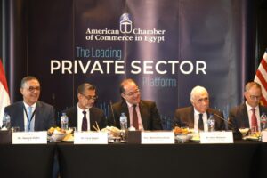 أحمد كجوك وزير المالية