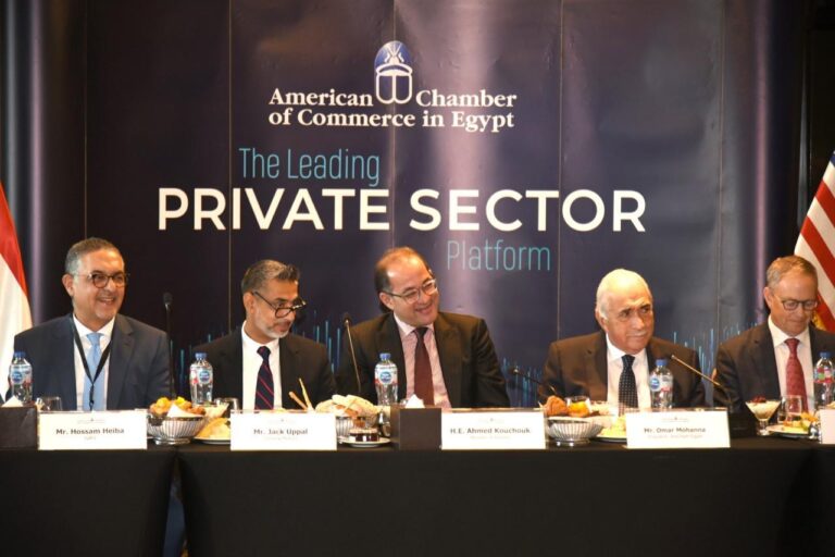 أحمد كجوك وزير المالية