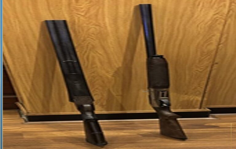 الأعيرة النارية