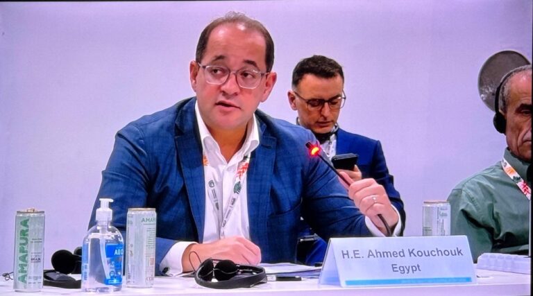 أحمد كجوك وزير المالية