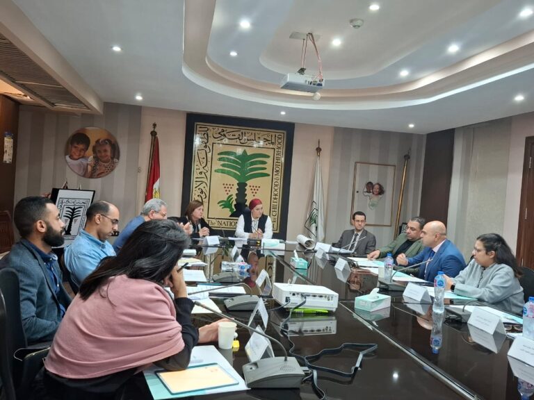 اجتماع مجلس الطفولة والأمومة