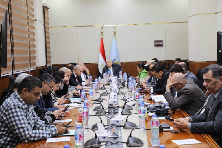 محافظ القاهرة يتابع سير الانتخابات