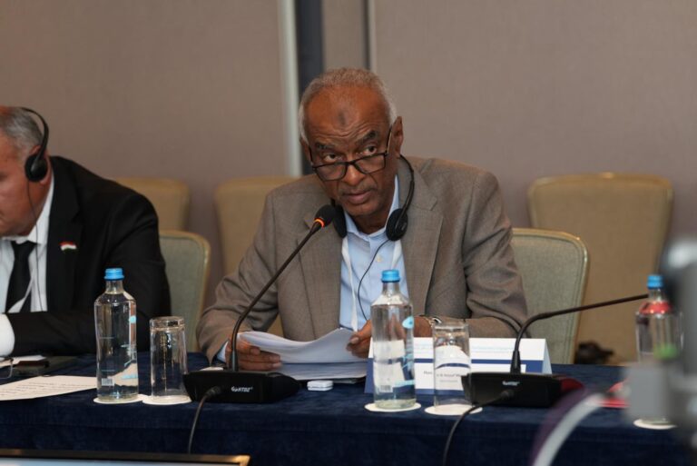 النائب إنصاف مايو عضو البرلمان العربي