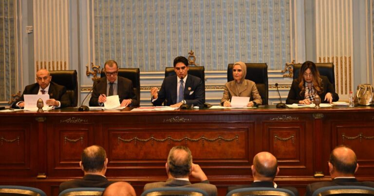 لجنة الشئوون المالية بمجلس الشيوخ