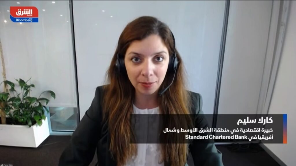 كارلا سليم الخبيرة الاقتصادية