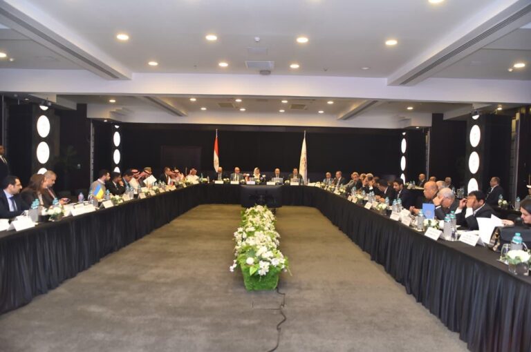 قطاع المعالجات التجارية بوزارة الاستثمار