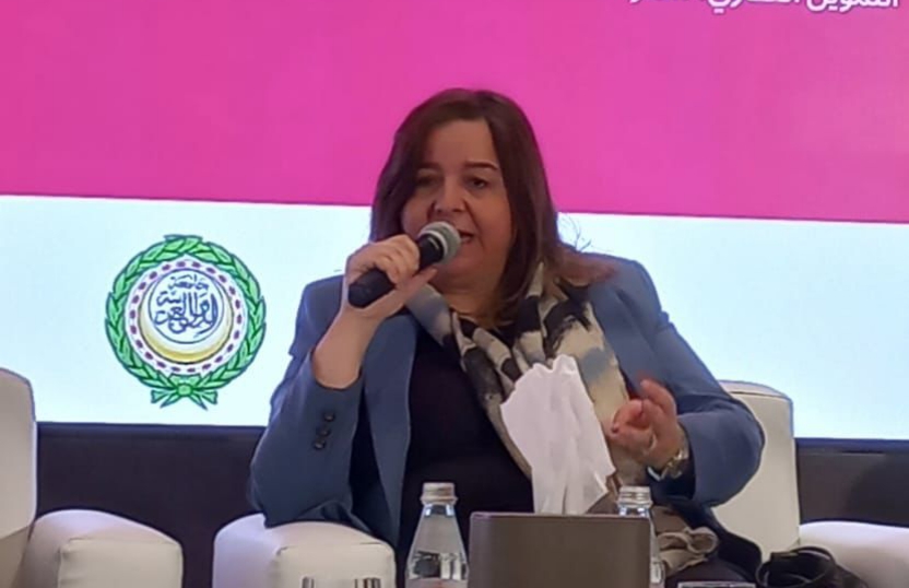 مي عبدالحميد رئيس صندوق الاسكان