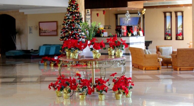 احتفالات الكريسماس ورأس السنة