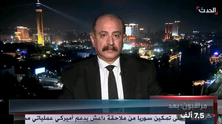 د. طارق فهمي أستاذ العلوم السياسية