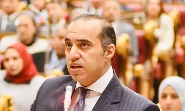 المستشار محمود فوزي