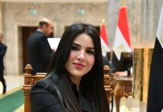 النائبة ريهام أبو الحسن