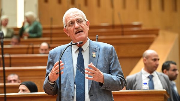 النائب عاطف مغاوري