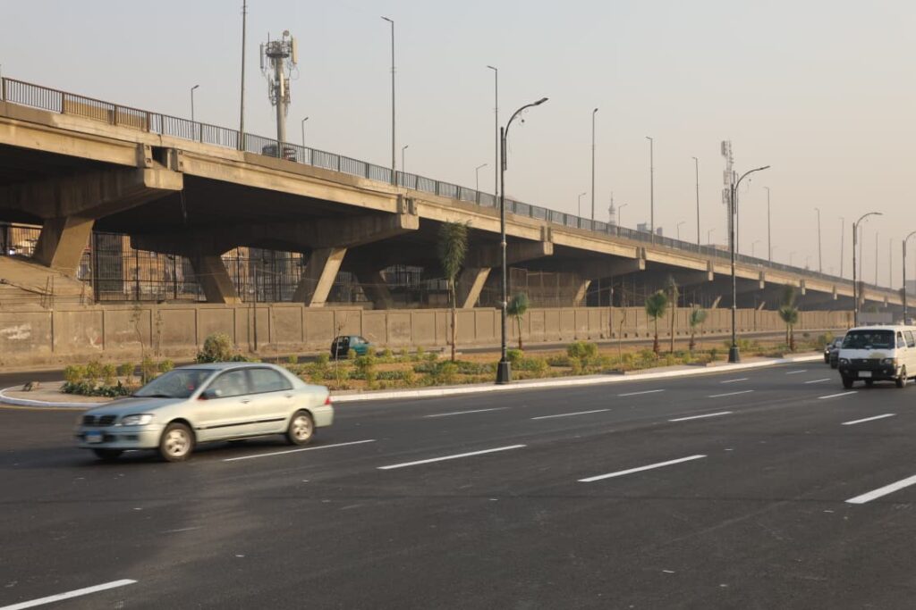 محور صلاح سالم