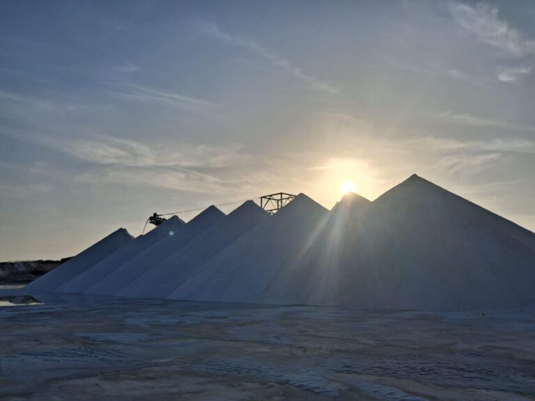 النصر للملاحات