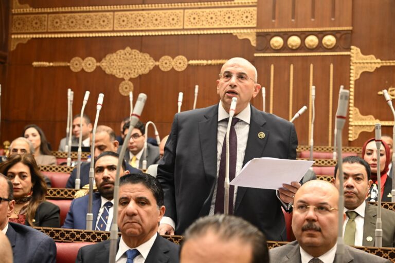 النائب أشرف عبد الغني