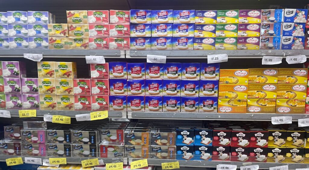 منتجات الألبان