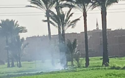 المخالفات الزراعية