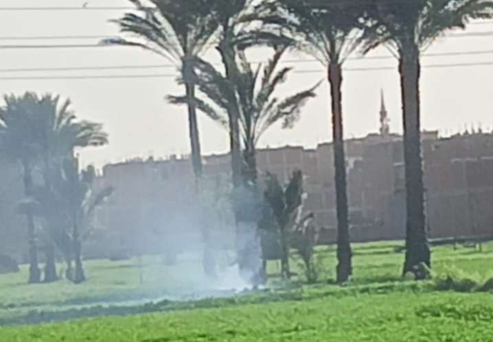 المخالفات الزراعية