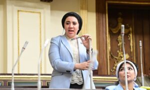 النائبة أميرة صابر