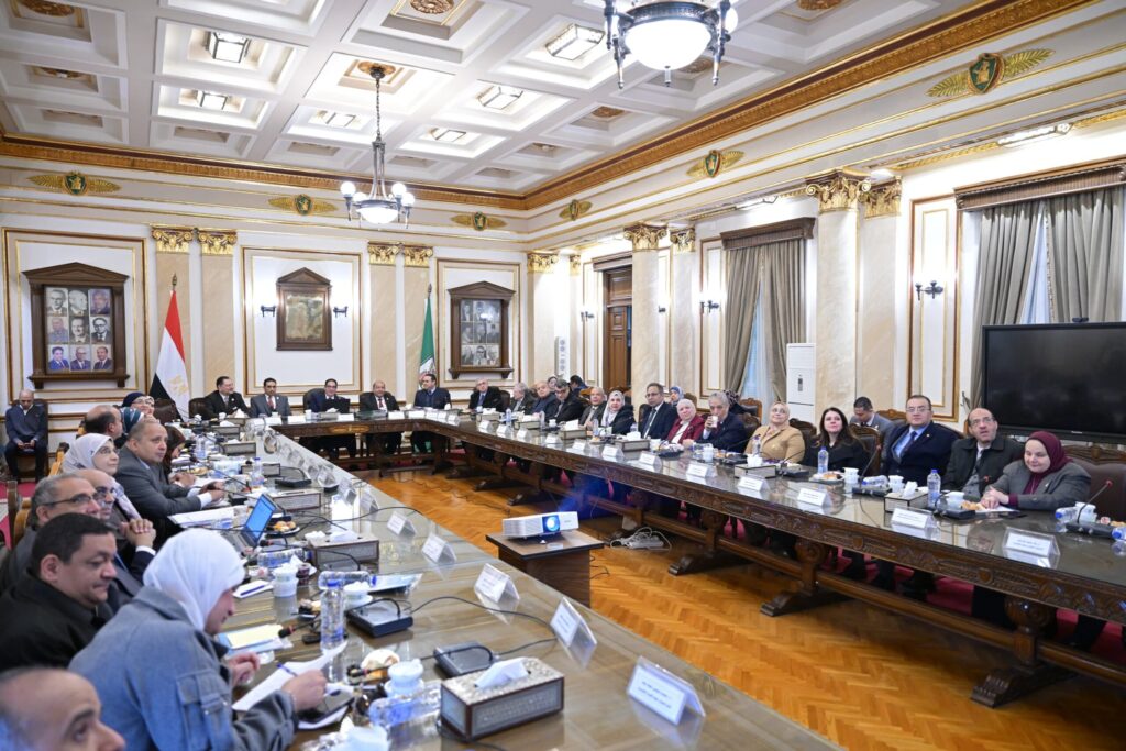 مجلس جامعة القاهرة