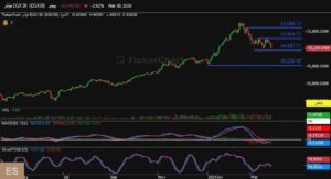 سهم التجاري الدولي