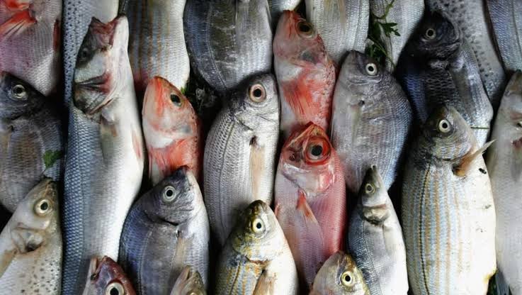 الأسماك المملحة