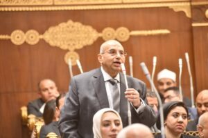 النائب أشرف عبد الغني