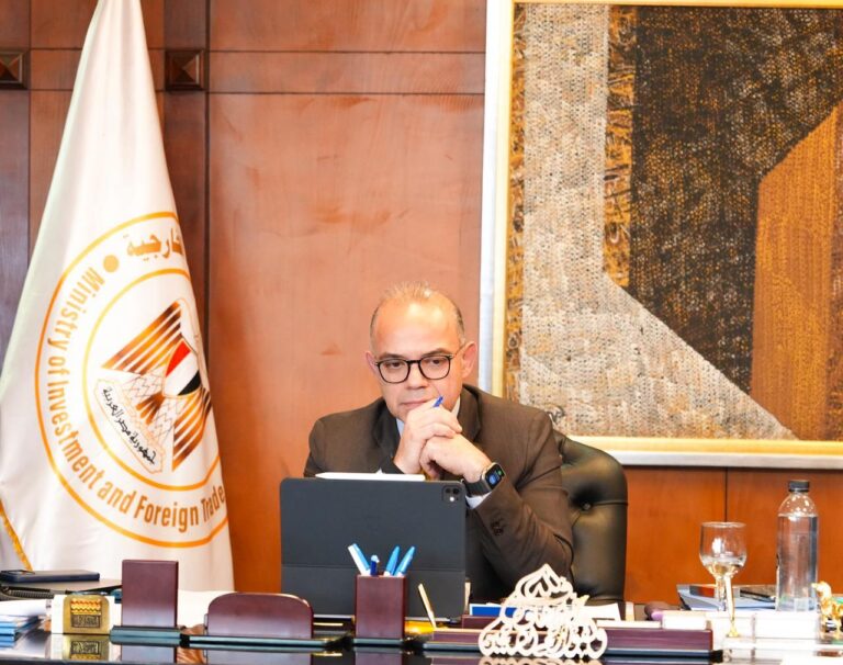 د. محمد فريد وزير الاستثمار