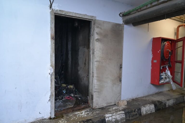 حريق قصر العيني